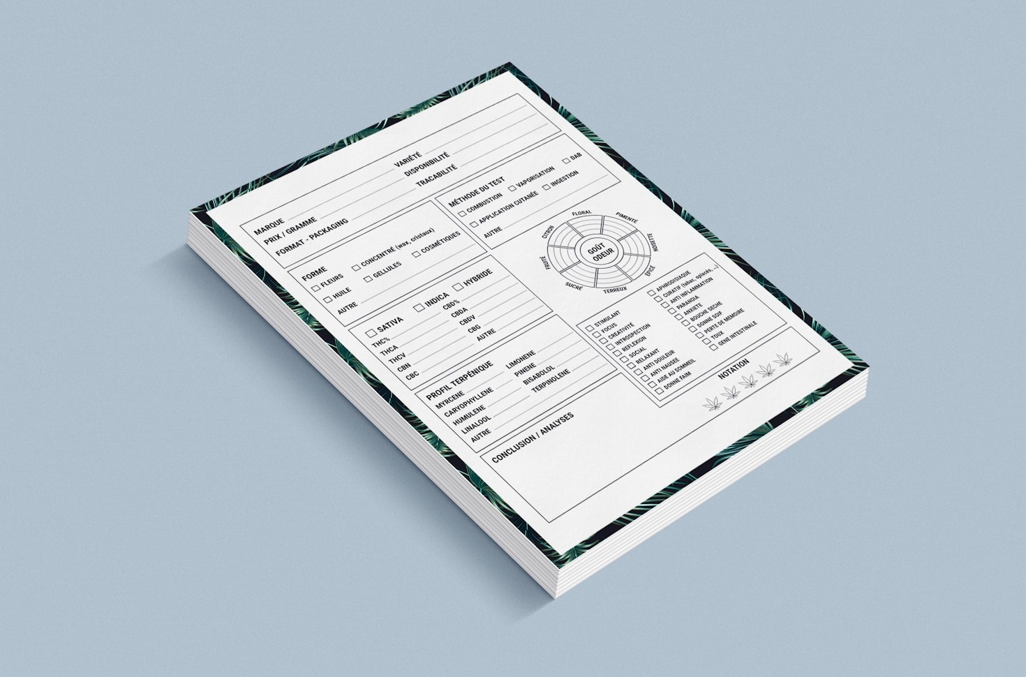The Evolution Of Digital Document Management Tools